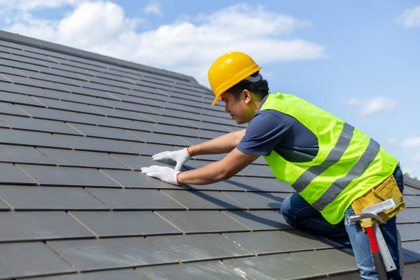 Best Roof Repair Services  in Bagley, MN