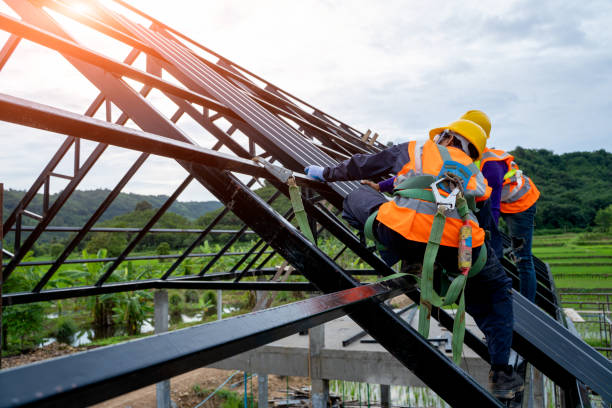 Best Roof Waterproofing Services  in Bagley, MN