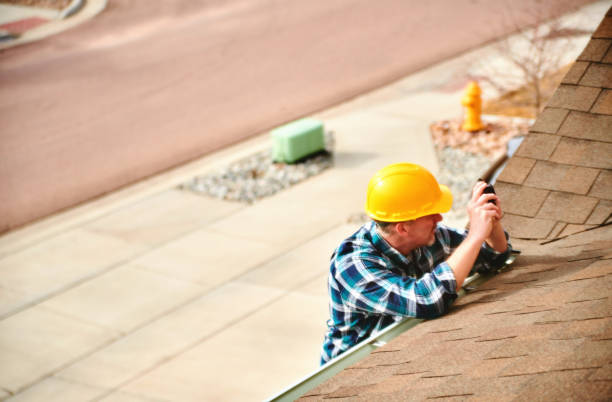 Best Roof Repair Services  in Bagley, MN
