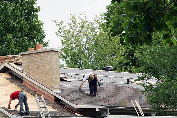 Best Roof Gutter Cleaning  in Bagley, MN