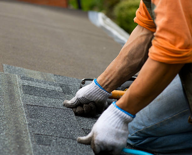 Best Gutter Installation and Roofing  in Bagley, MN