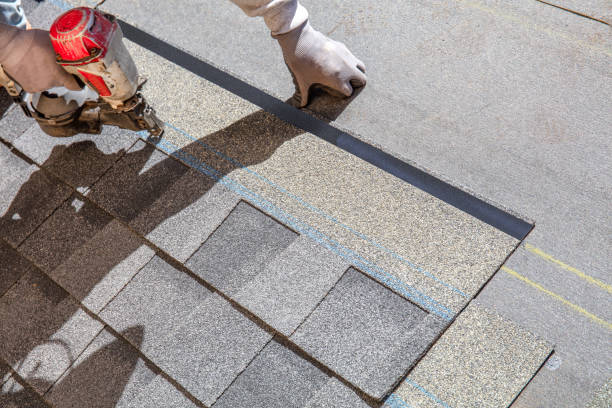 Best Metal Roofing Contractor  in Bagley, MN