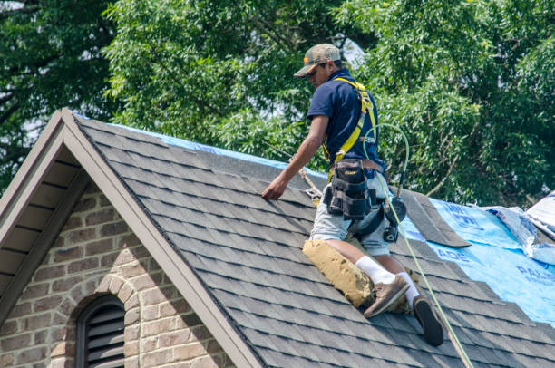 Best Residential Roofing Contractor  in Bagley, MN